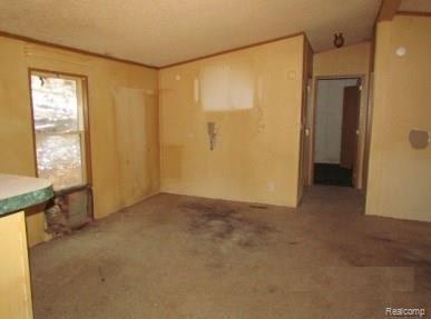 11075 Keller Road Delton, MI 49046 - Photo 10 of 10 10.jpg