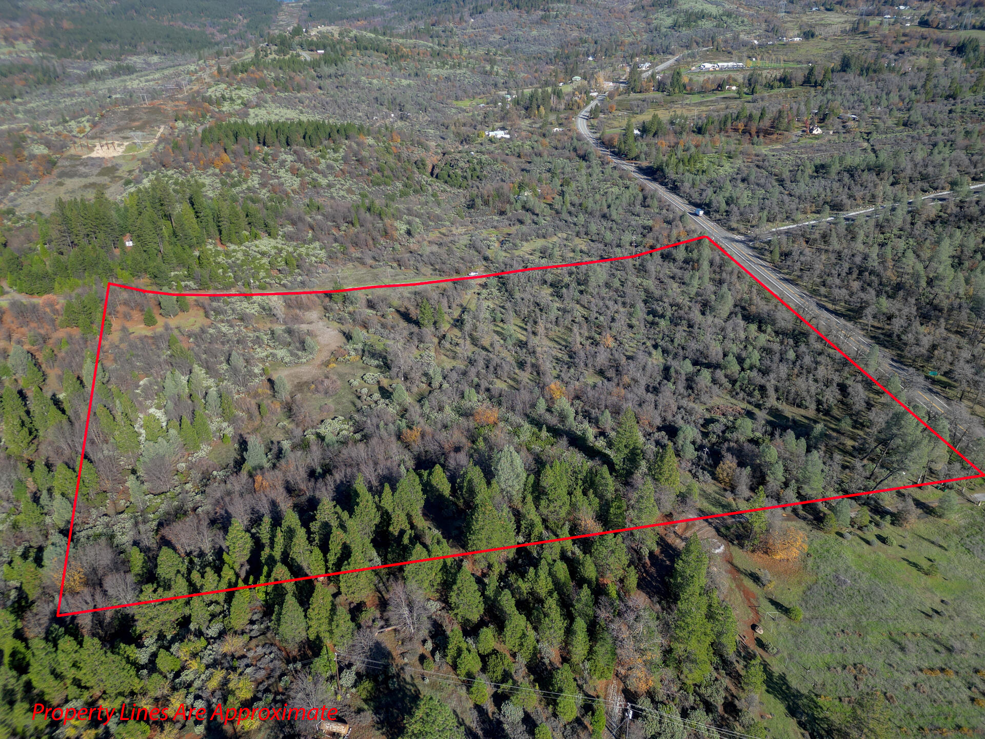 15.77 Acres Dittman Road Montgomery Creek, CA 96065 - Photo 24 of 26 IMG_3339