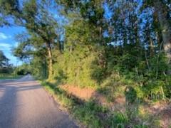 Tbd South Morgan Road Folsom, LA 70437 - Photo 1 of 11 Gallery Image 1