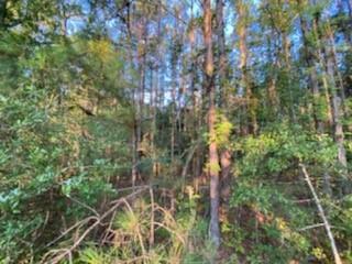 Tbd South Morgan Road Folsom, LA 70437 - Photo 8 of 11 Gallery Image 8