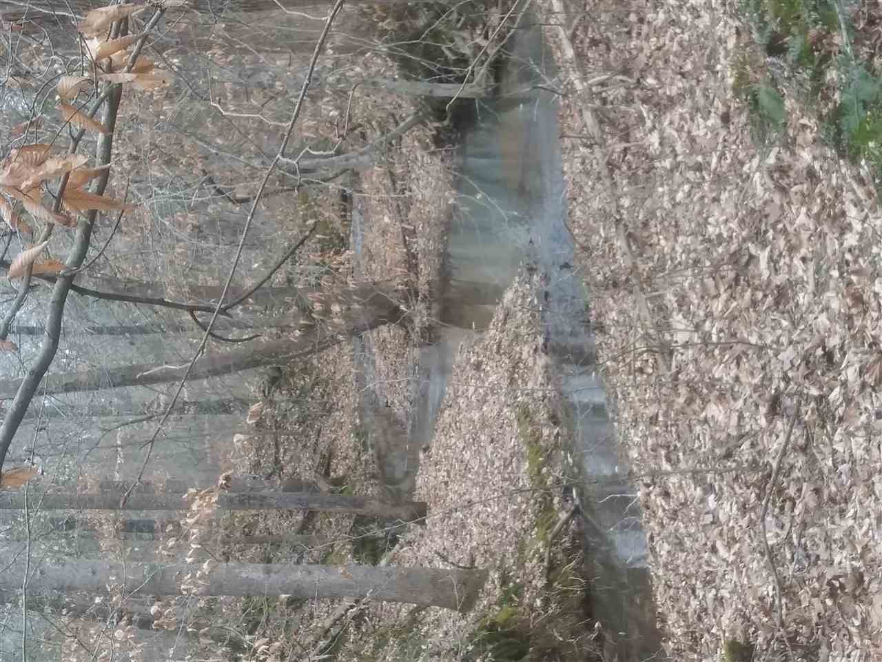 210 Oakley Road Savannah, TN 38372 - Photo 2 of 25