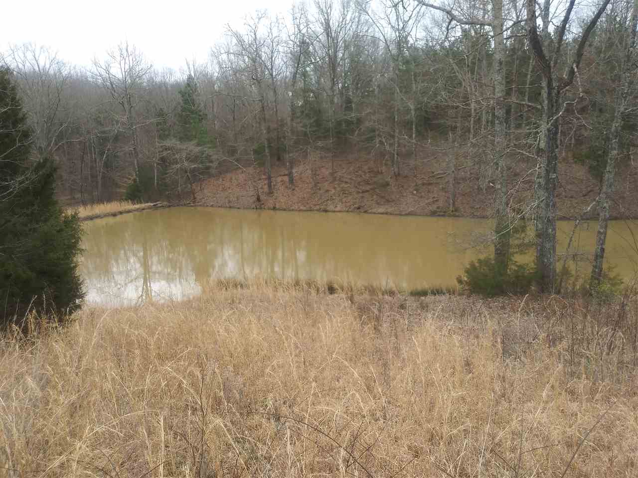 210 Oakley Road Savannah, TN 38372 - Photo 3 of 25