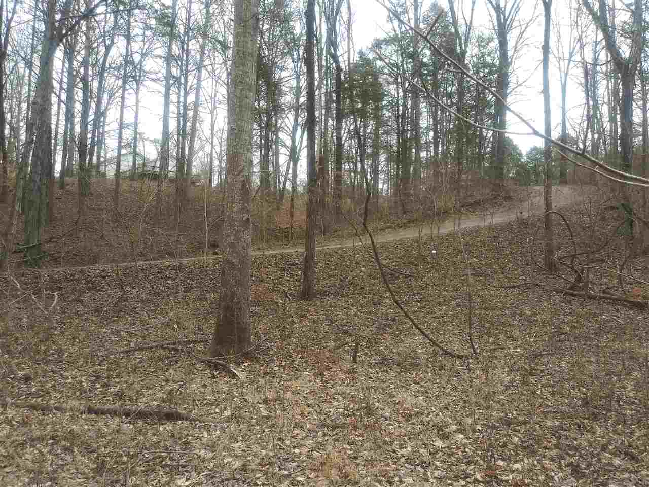 210 Oakley Road Savannah, TN 38372 - Photo 4 of 25