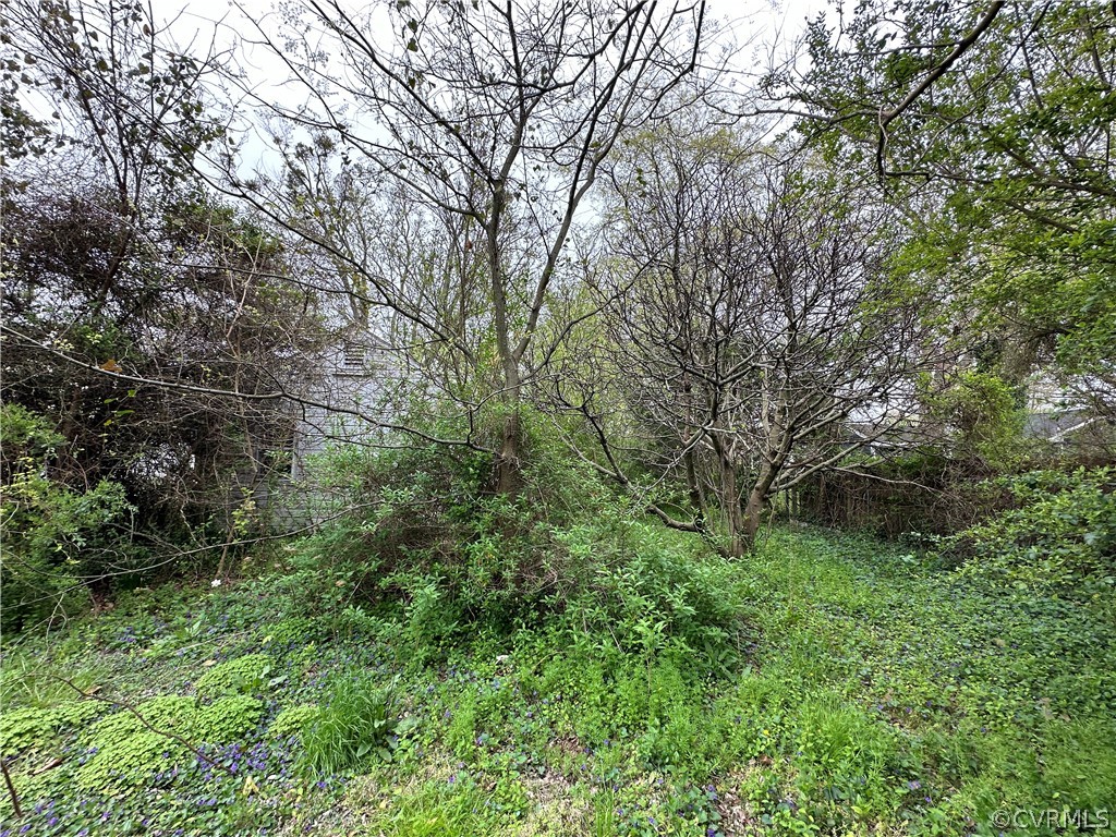211 Roane Drive Hampton, VA 23669 - Photo 8 of 9 a big yard with lots of green space and deers