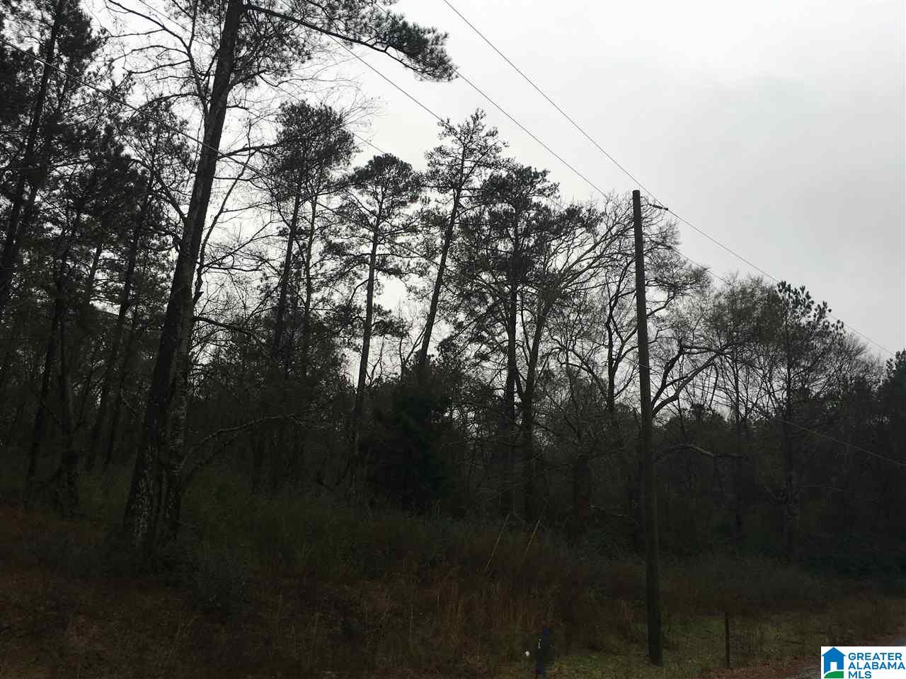 1245 Eureka Road, Unit 2 Lincoln, AL 35096 - Photo 9 of 32