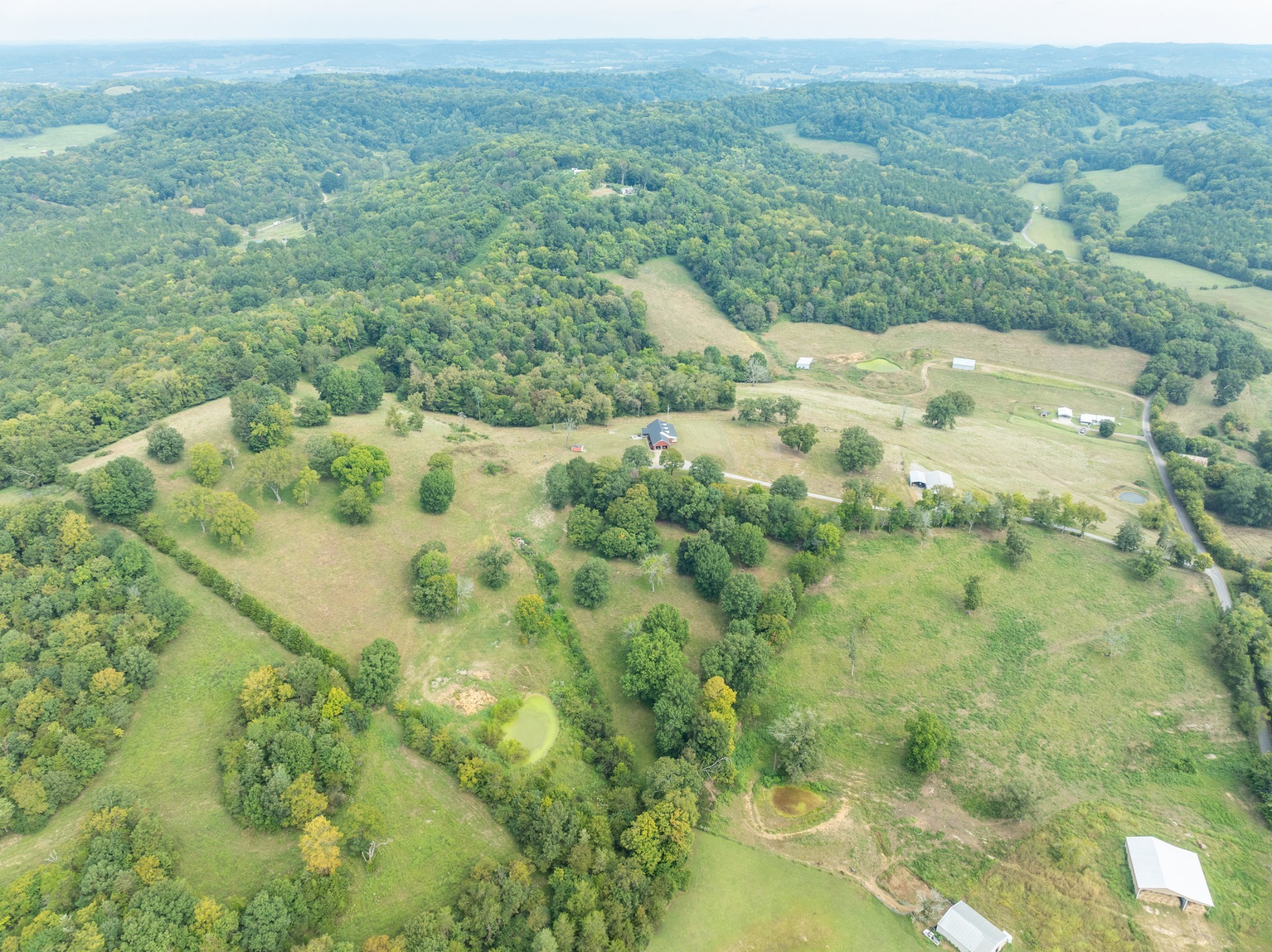 353 Major Road Cornersville, TN 37047 - Photo 54 of 74 a view of a forest with a street
