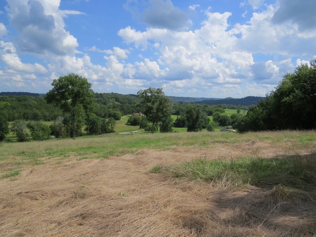 353 Major Road Cornersville, TN 37047 - Photo 64 of 74