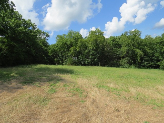 353 Major Road Cornersville, TN 37047 - Photo 65 of 74 a view of a field with a trees in the background