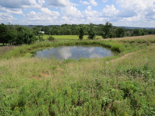 353 Major Road Cornersville, TN 37047 - Photo 67 of 74