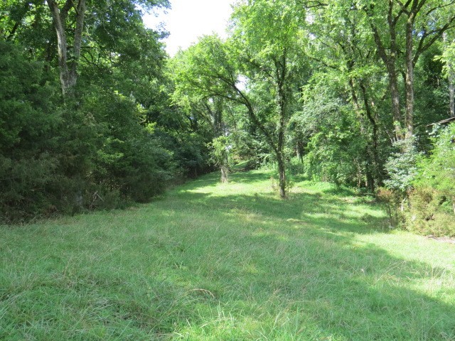 353 Major Road Cornersville, TN 37047 - Photo 69 of 74 a view of outdoor space and yard