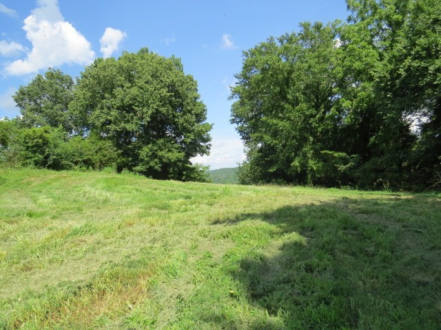 353 Major Road Cornersville, TN 37047 - Photo 70 of 74 a view of yard with green space
