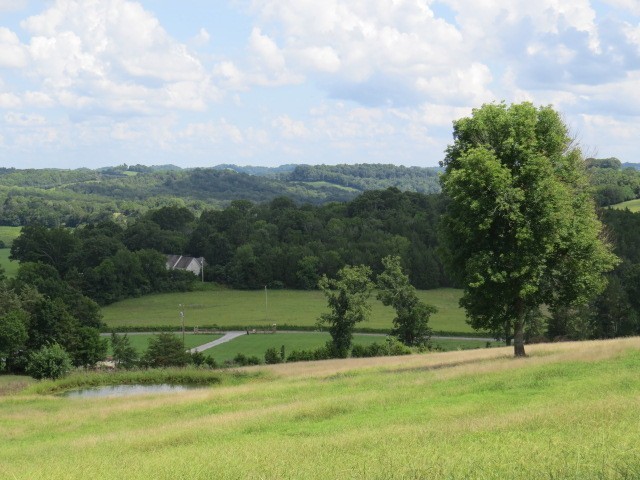 353 Major Road Cornersville, TN 37047 - Photo 73 of 74