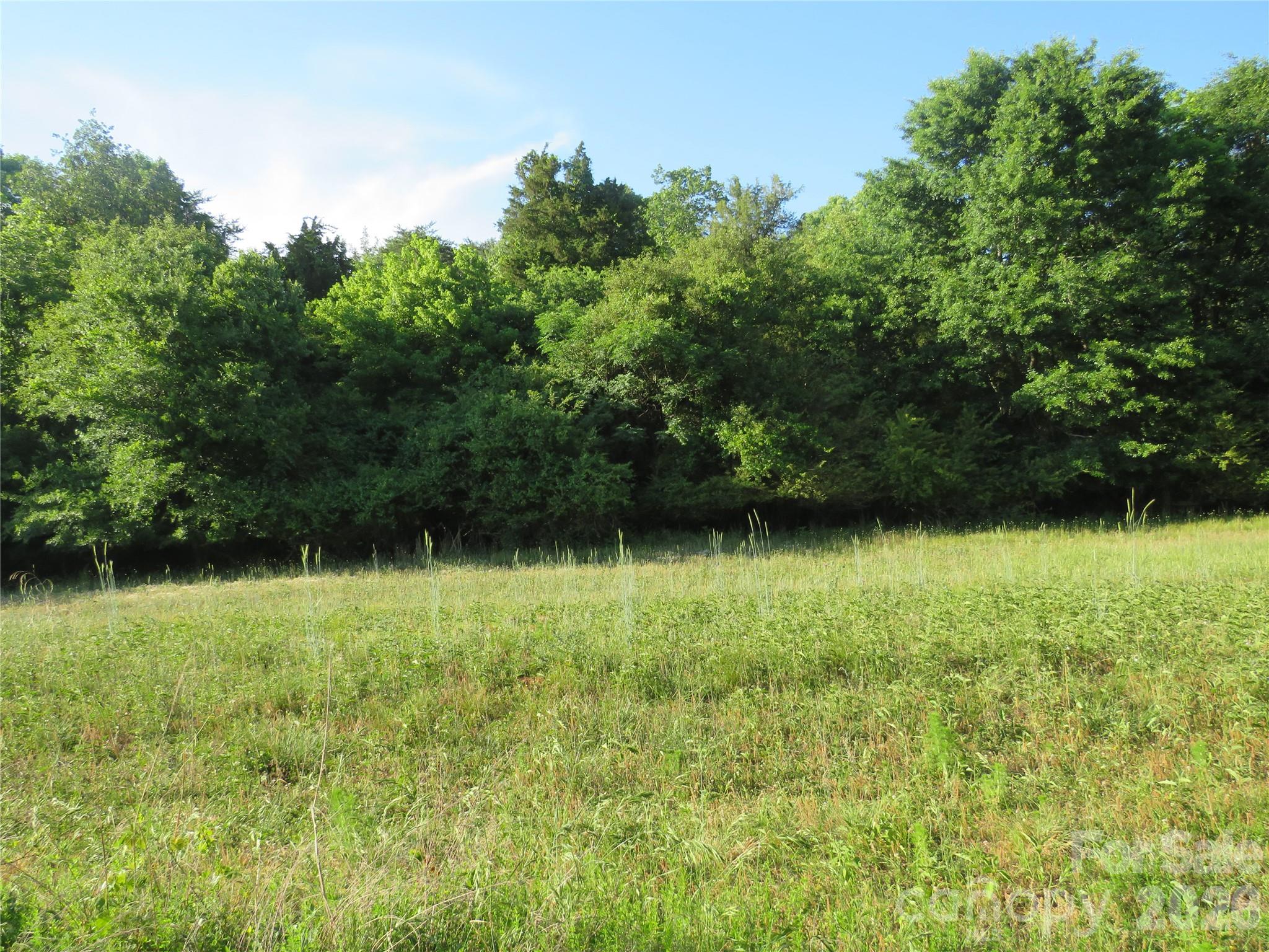 262 Flat Rock Road Forest City, NC 28043 - Photo 31 of 41