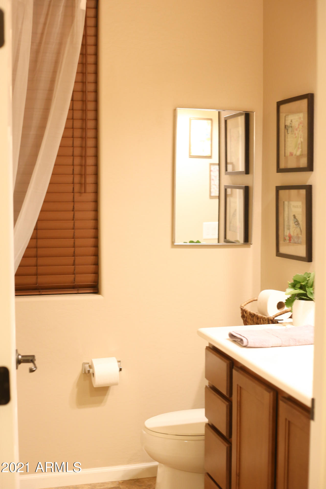 1857 South Racine Lane Gilbert, AZ 85295 - Photo 6 of 36 Powder room