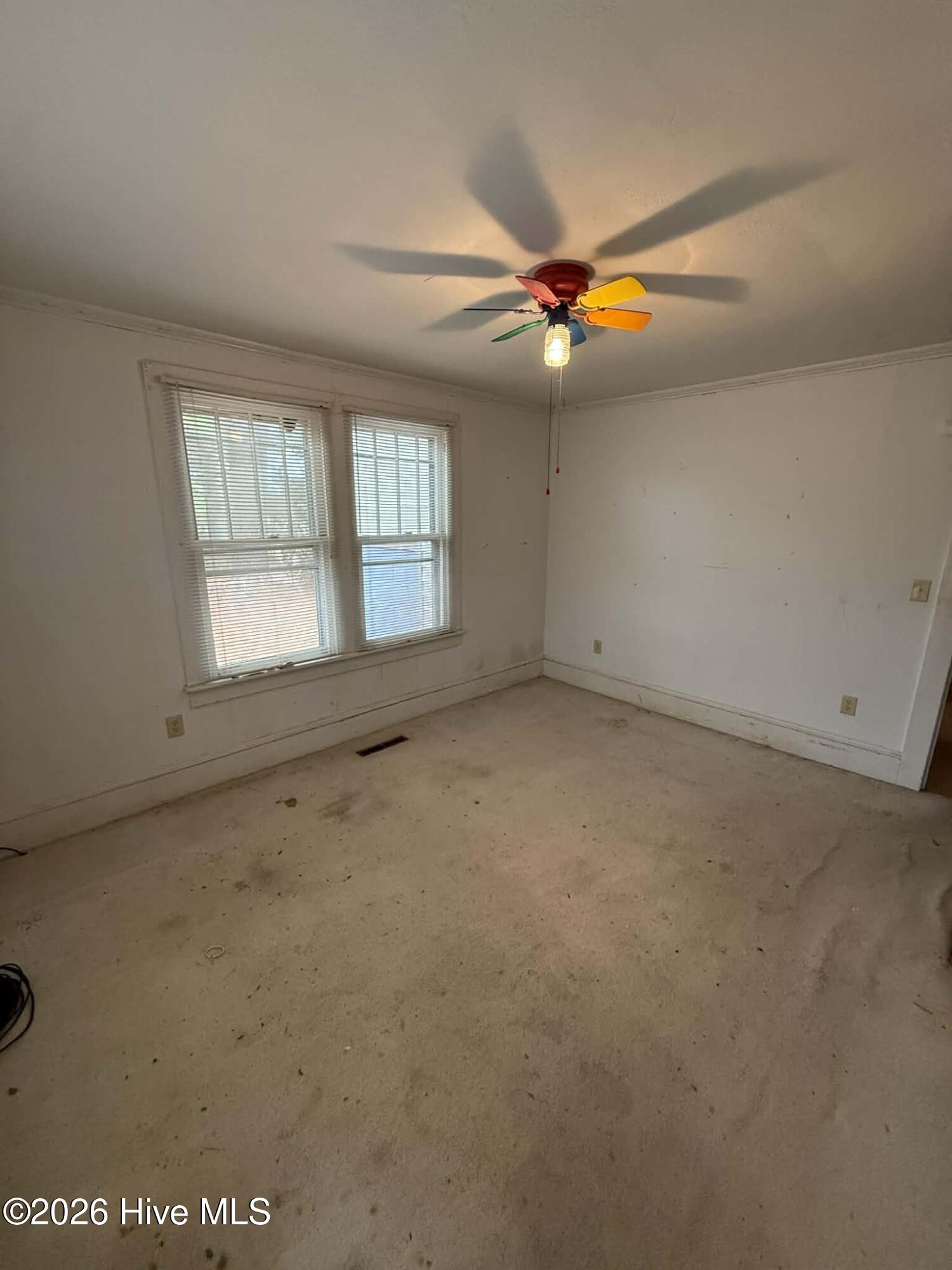 11450 Highway 32 Roper, NC 27970 - Photo 15 of 19 Roper4