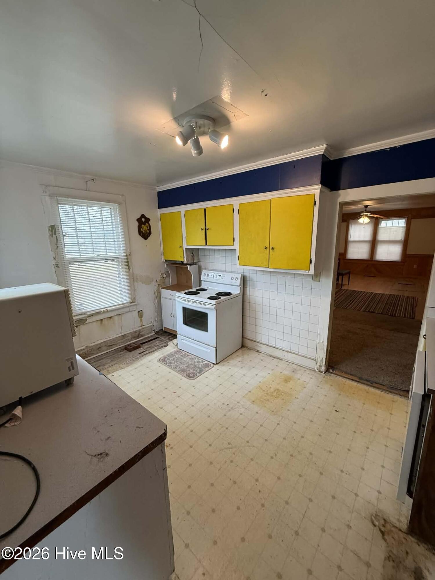 11450 Highway 32 Roper, NC 27970 - Photo 8 of 19 Roper13