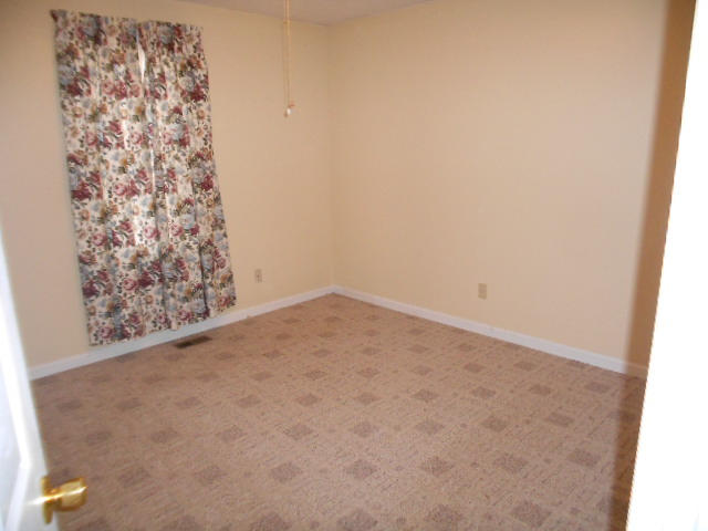 337 Ritz View Drive Blaine, TN 37709 - Photo 11 of 12 DSCN3050