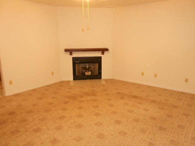 337 Ritz View Drive Blaine, TN 37709 - Photo 3 of 12 DSCN3056
