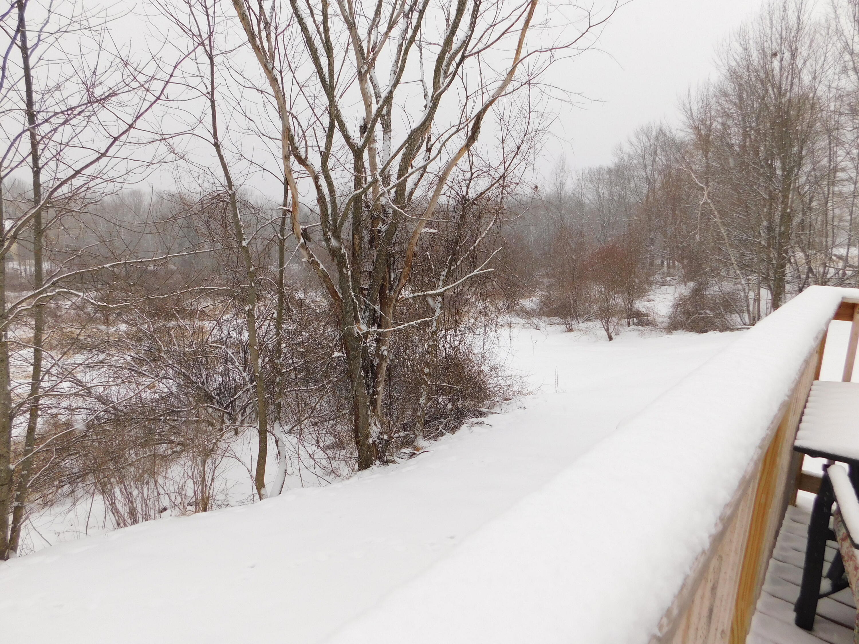 17 Aspen Way Turner, ME 04282 - Photo 76 of 90 DSCN0617