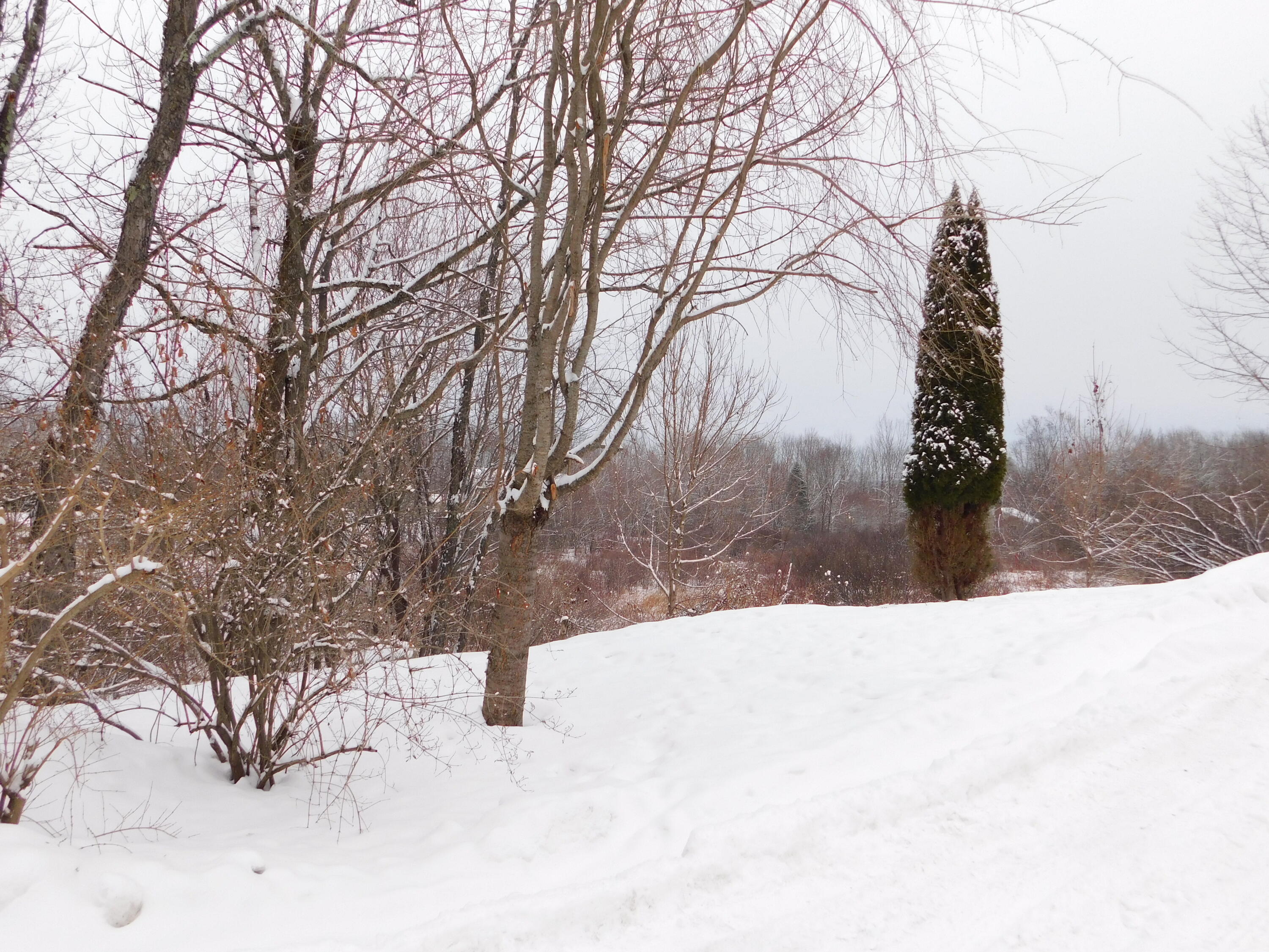 17 Aspen Way Turner, ME 04282 - Photo 88 of 90 DSCN0631