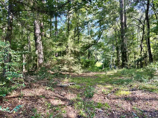 $25,000 | Xxx Brewer Lane, McComb, MS 39648