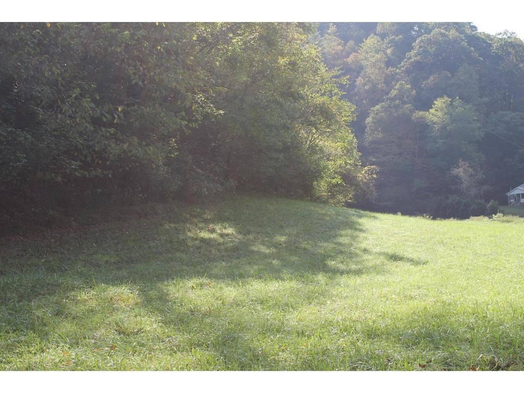 0 Phillips Road Mendota, VA 24270 - Photo 1 of 7 Photo 1