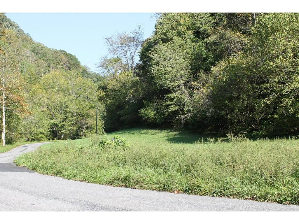 0 Phillips Road Mendota, VA 24270 - Photo 2 of 7 Photo 2