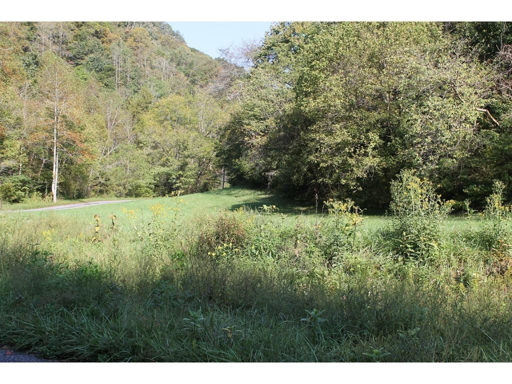 0 Phillips Road Mendota, VA 24270 - Photo 3 of 7 Photo 3