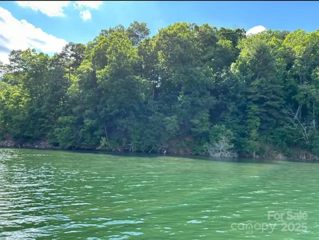 a view of a green field