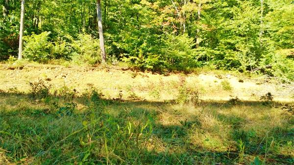 24 Reed Hill Road Wales, MA 01081 - Photo 13 of 15