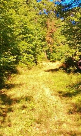 24 Reed Hill Road Wales, MA 01081 - Photo 15 of 15