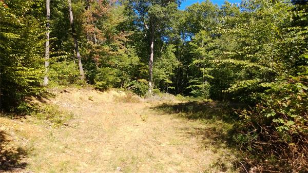24 Reed Hill Road Wales, MA 01081 - Photo 4 of 15