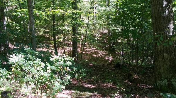24 Reed Hill Road Wales, MA 01081 - Photo 7 of 15