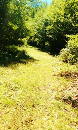 24 Reed Hill Road Wales, MA 01081 - Photo 9 of 15