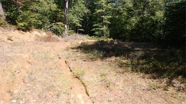 24 Reed Hill Road Wales, MA 01081 - Photo 10 of 15