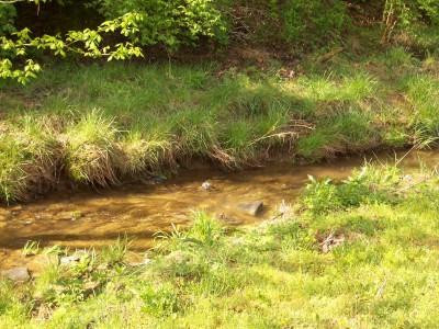 312 Ridgeview Drive Berea, KY 40403 - Photo 2 of 10 Creek in the back yard