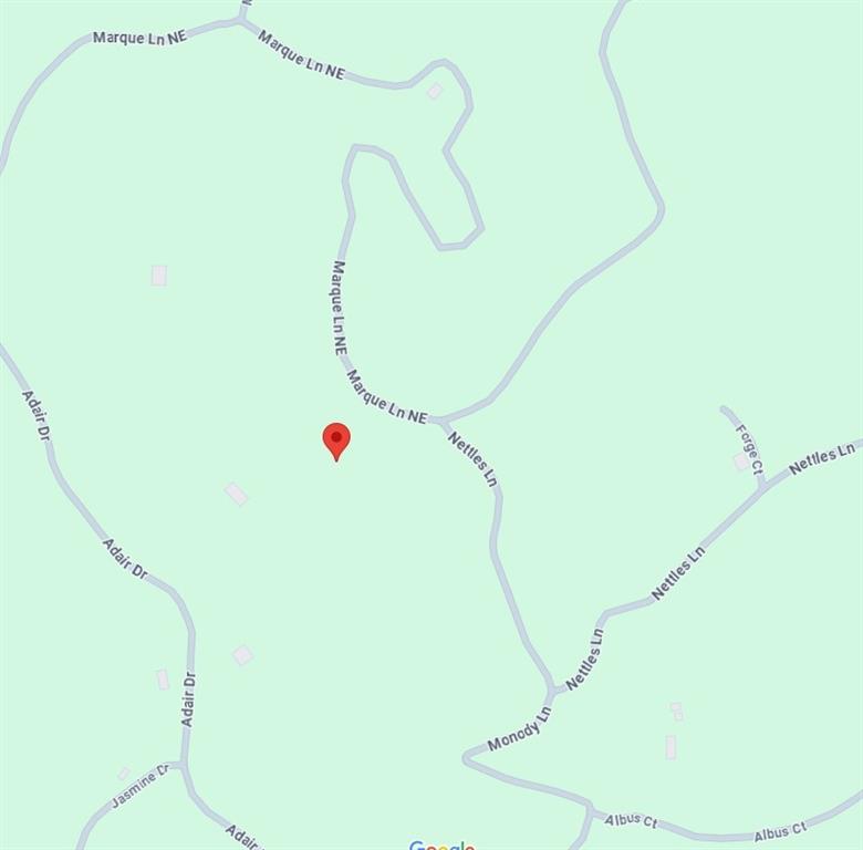 729 Marque Lane Northeast Ranger, GA 30734 - Photo 3 of 3