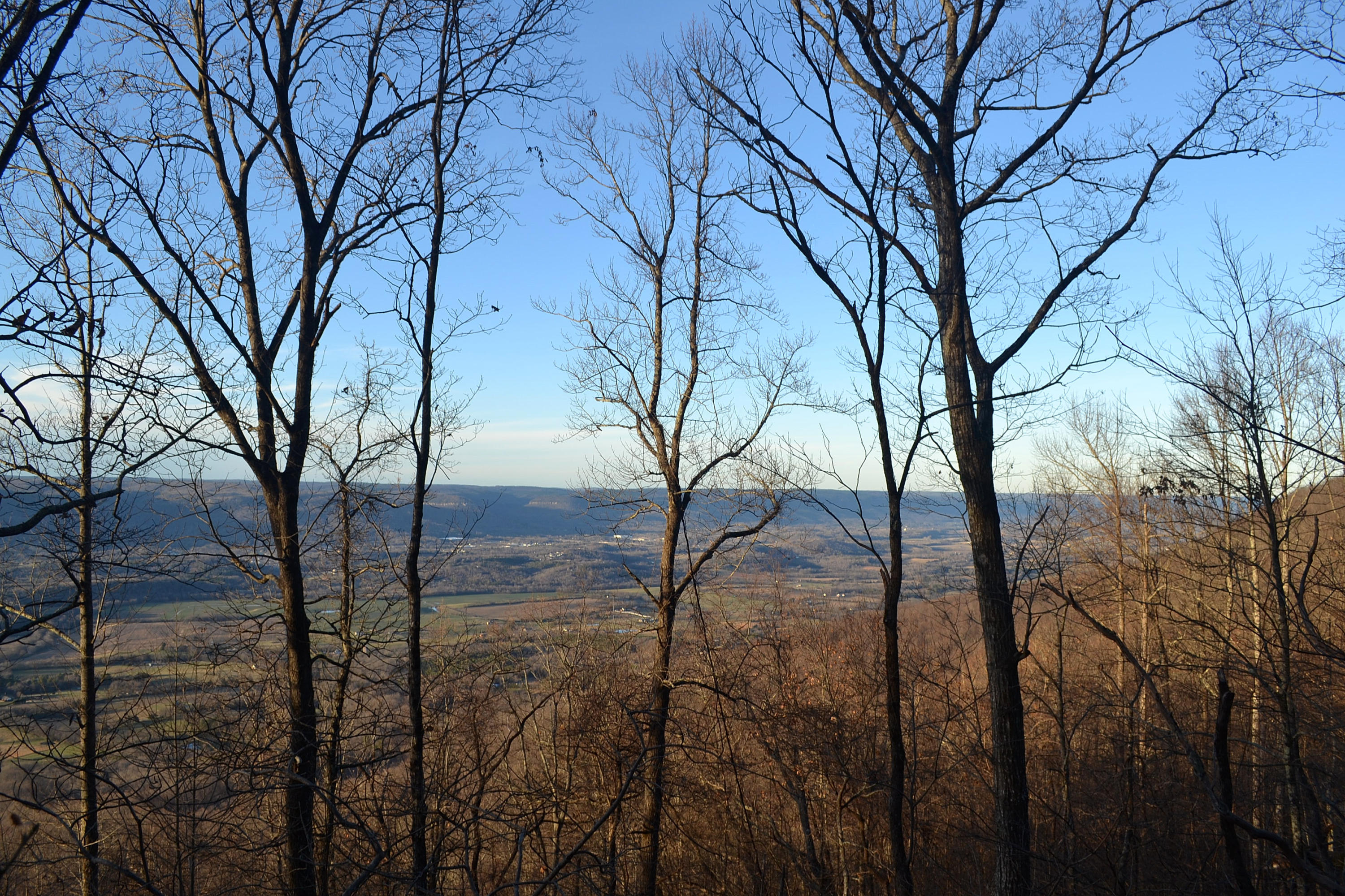 5.1-ac Window Rock Road Dunlap, TN 37327 - Photo 1 of 28 72