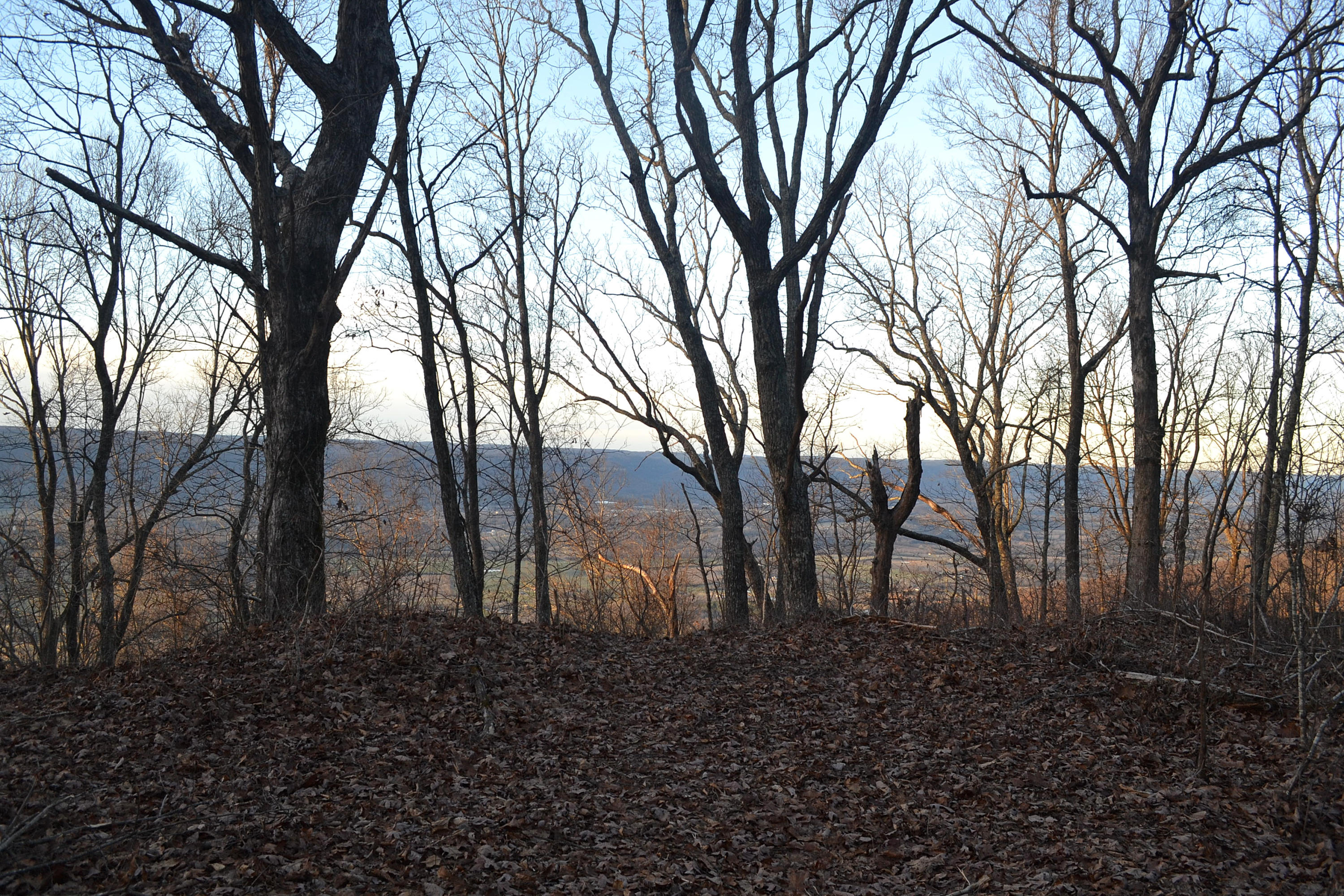 5.1-ac Window Rock Road Dunlap, TN 37327 - Photo 14 of 28 84
