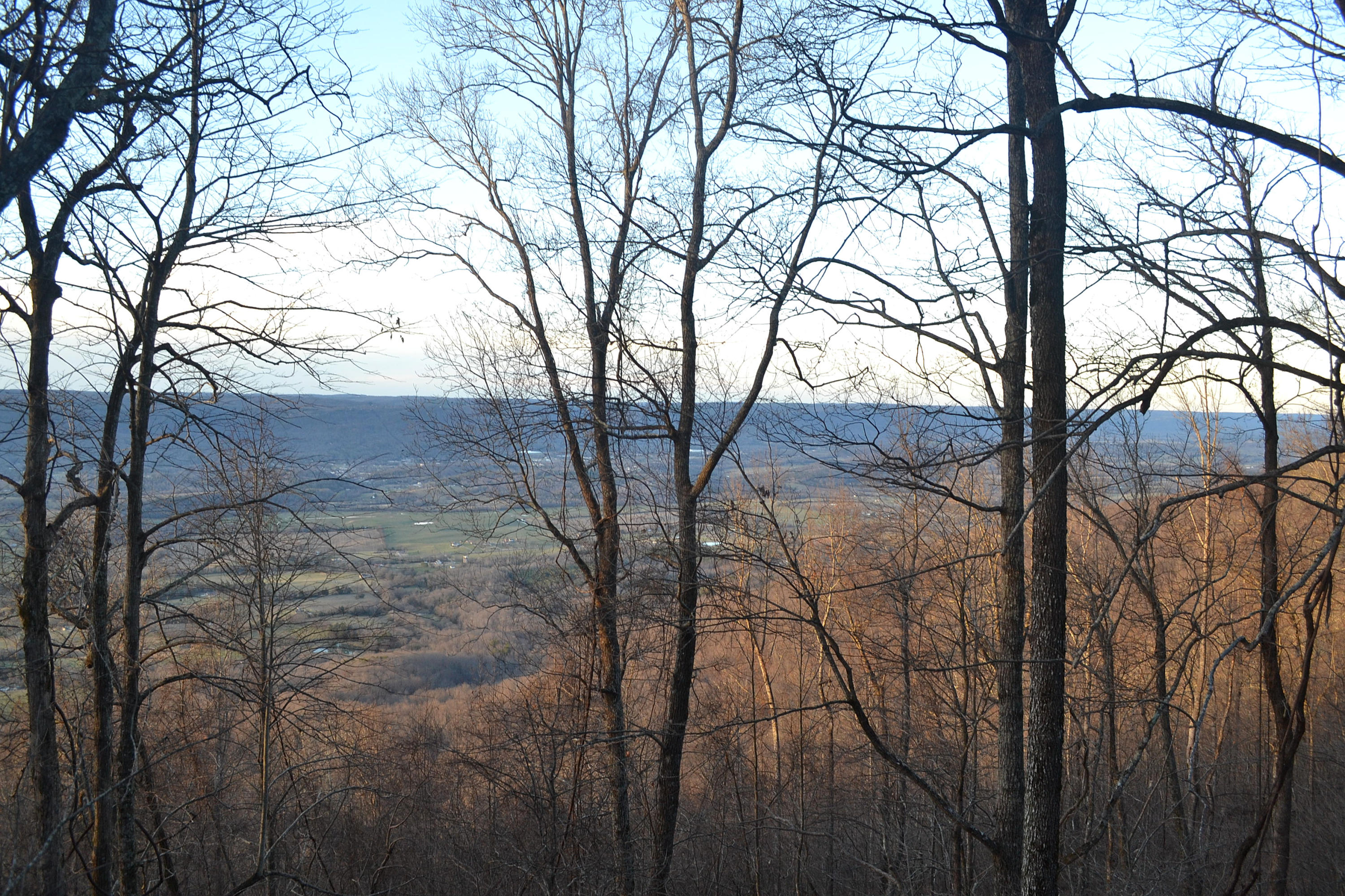5.1-ac Window Rock Road Dunlap, TN 37327 - Photo 17 of 28 87