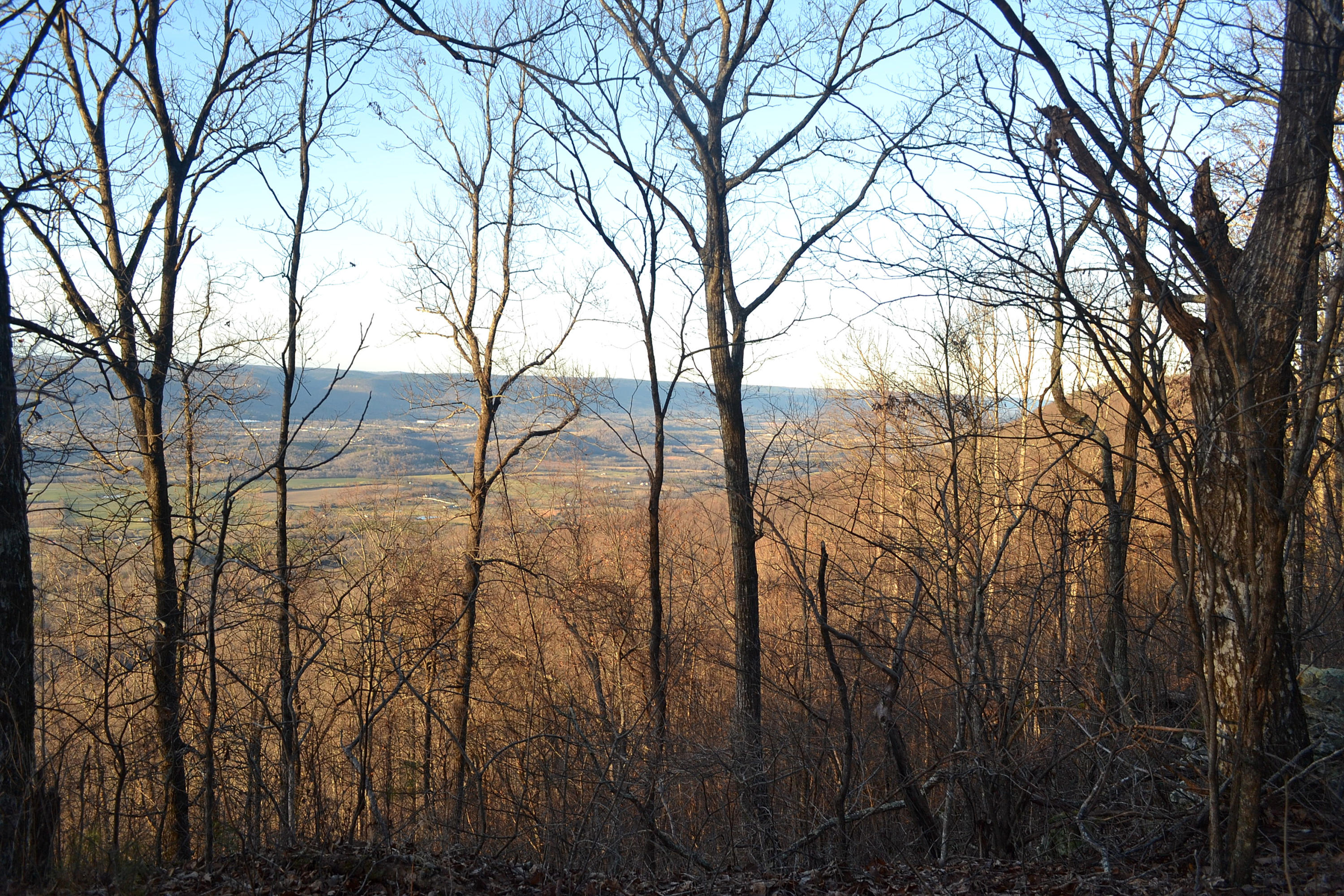 5.1-ac Window Rock Road Dunlap, TN 37327 - Photo 3 of 28 71