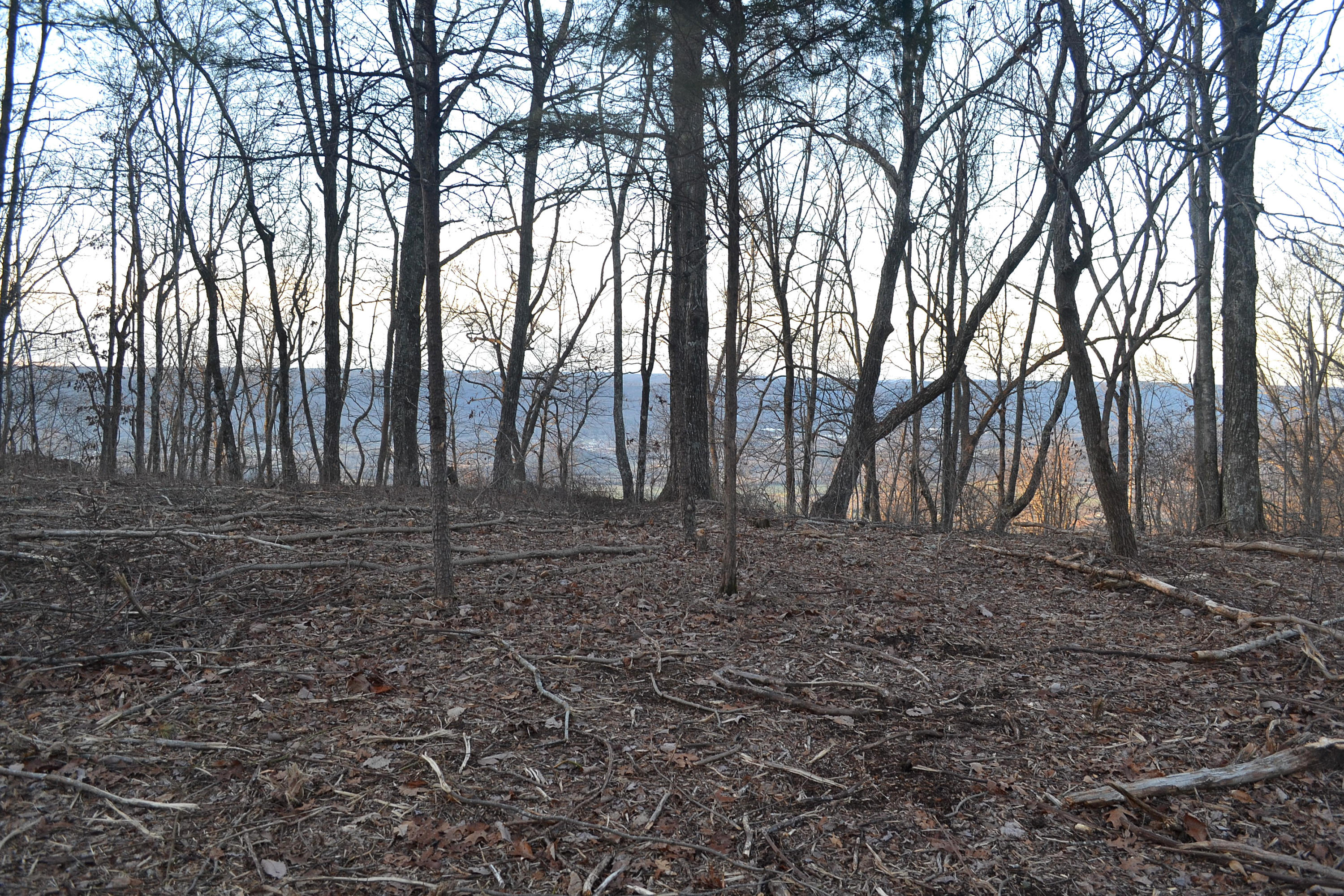 5.1-ac Window Rock Road Dunlap, TN 37327 - Photo 21 of 28 91