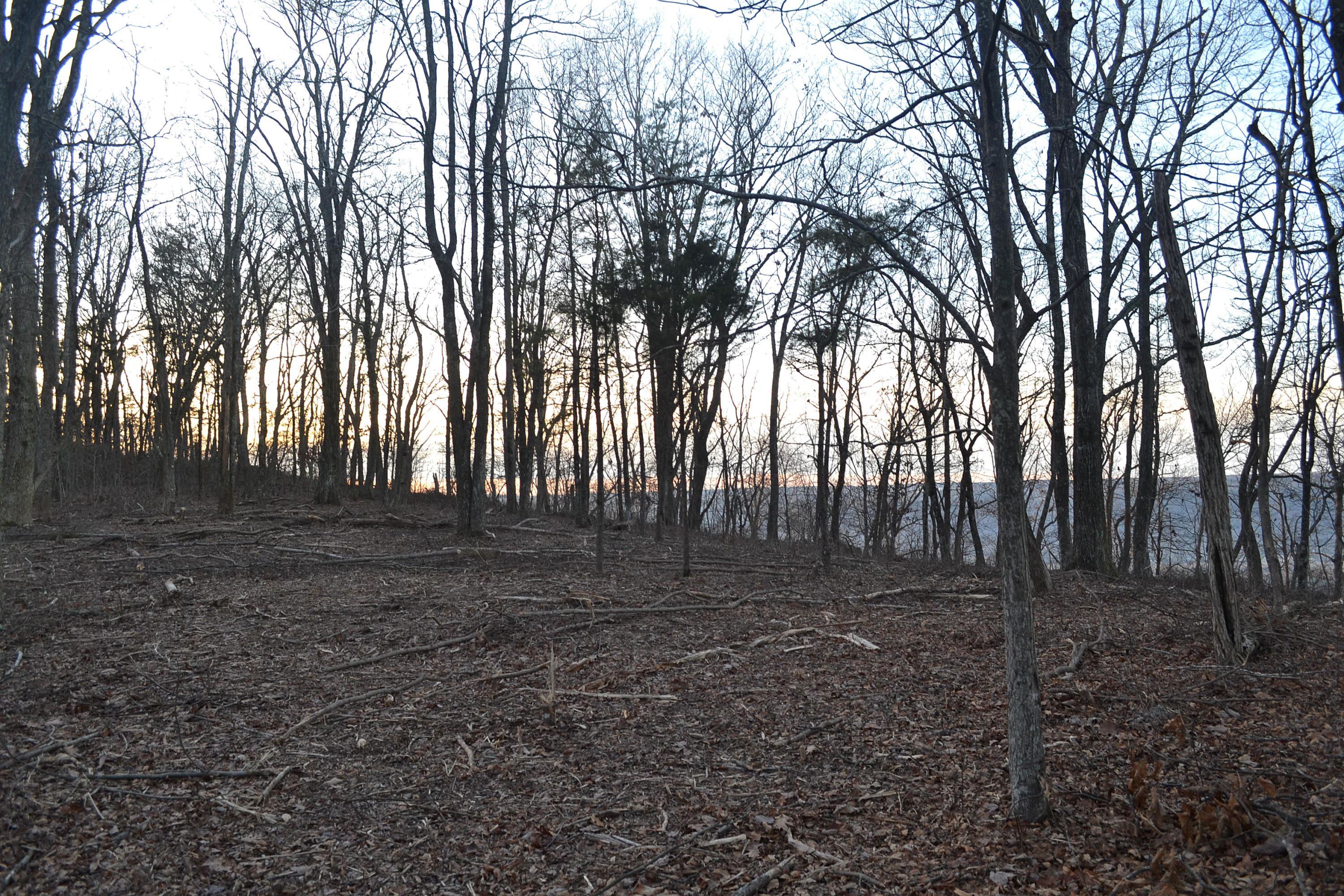 5.1-ac Window Rock Road Dunlap, TN 37327 - Photo 22 of 28 92