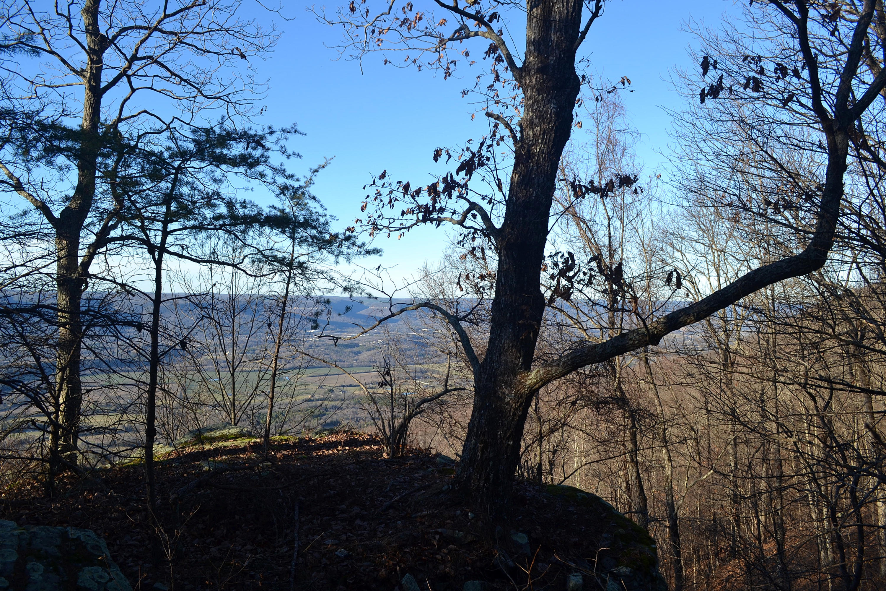 5.1-ac Window Rock Road Dunlap, TN 37327 - Photo 23 of 28 33