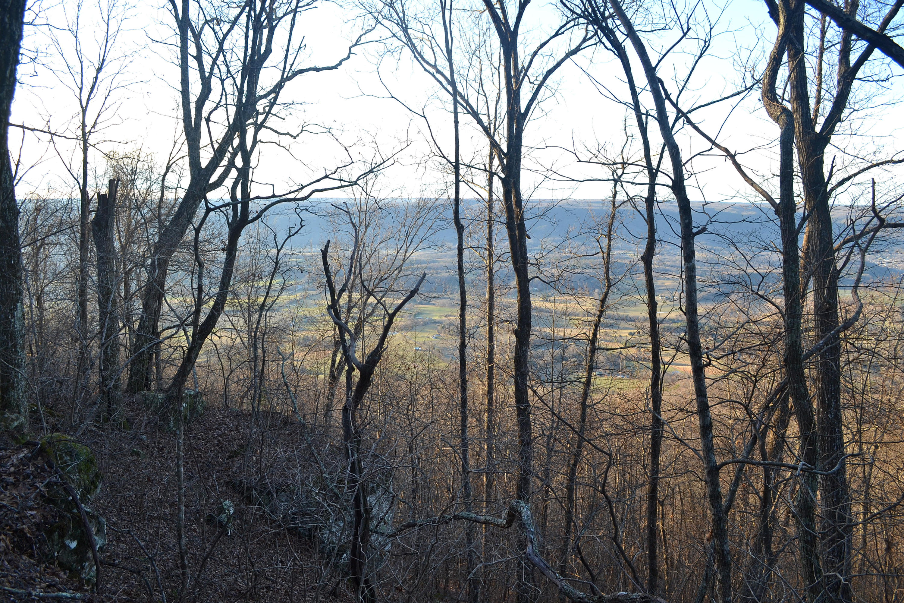 5.1-ac Window Rock Road Dunlap, TN 37327 - Photo 4 of 28 73
