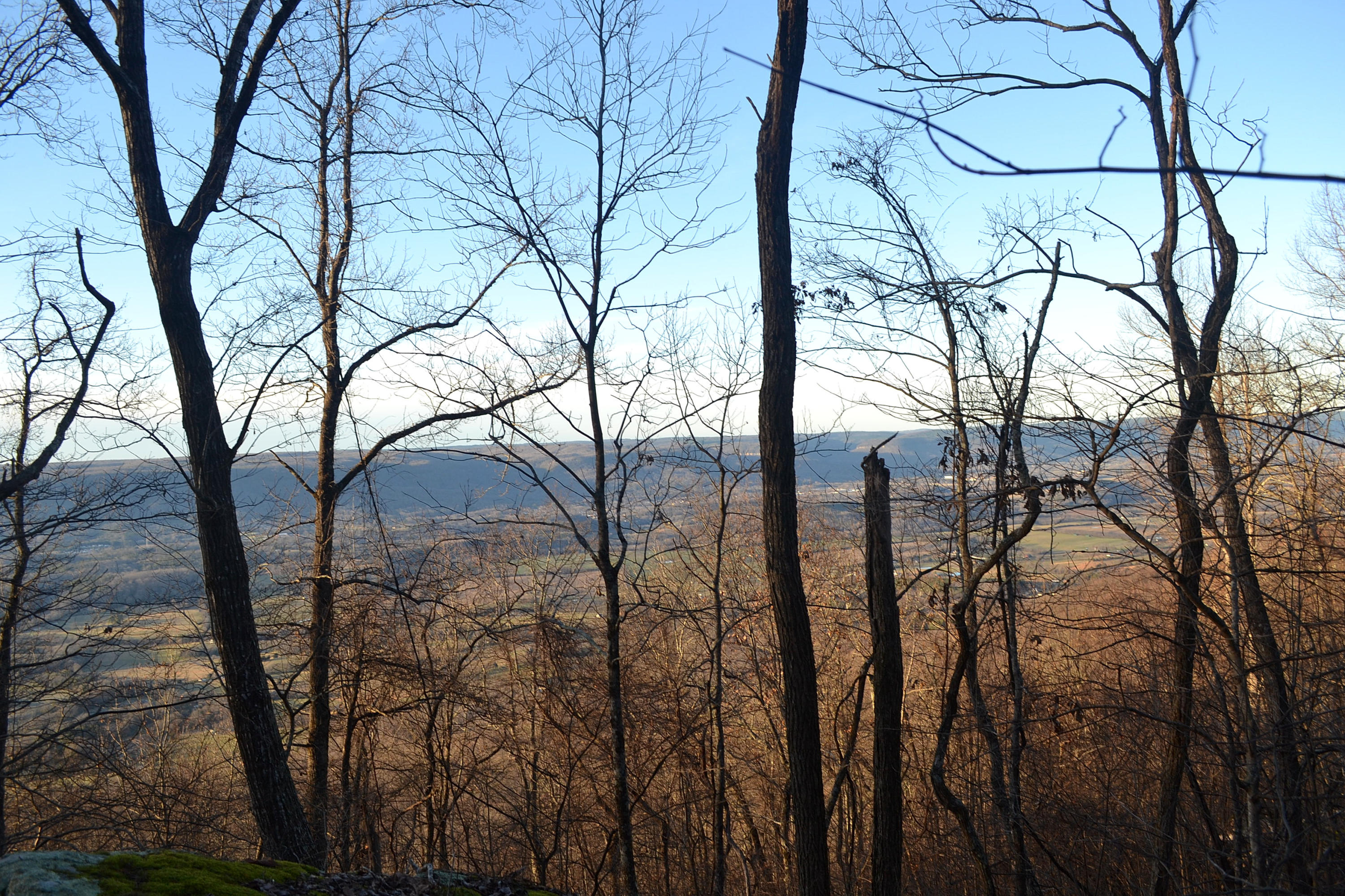 5.1-ac Window Rock Road Dunlap, TN 37327 - Photo 7 of 28 77