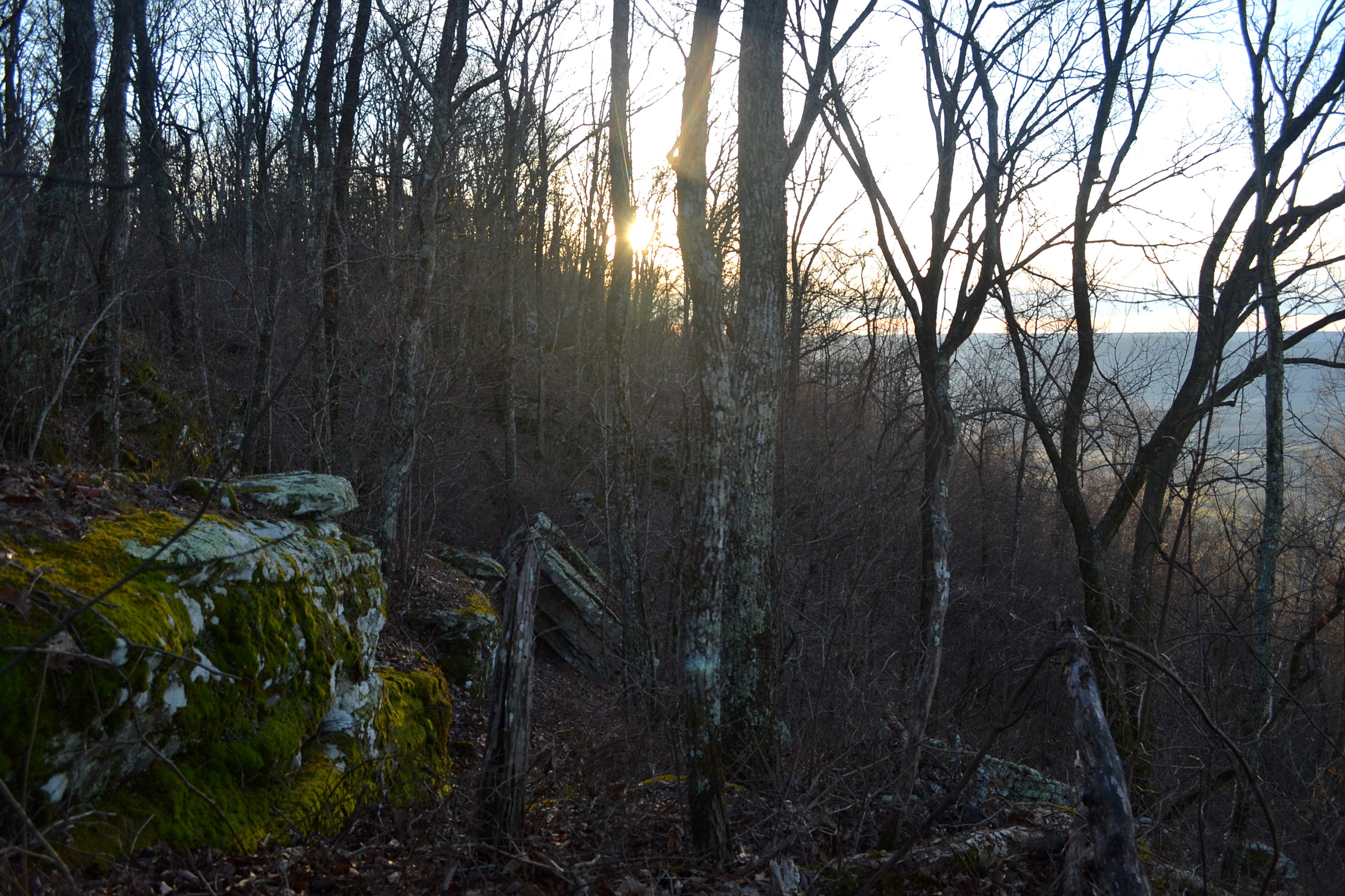 5.1-ac Window Rock Road Dunlap, TN 37327 - Photo 8 of 28 78
