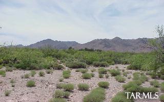 0 Three Triangle Ranches Bowie, AZ 85605 - Photo 2 of 3