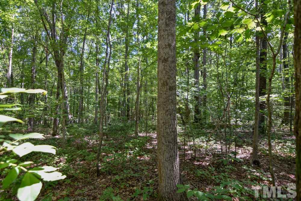 10.6-acres Loftis Loop Roxboro, NC 27574 - Photo 3 of 5