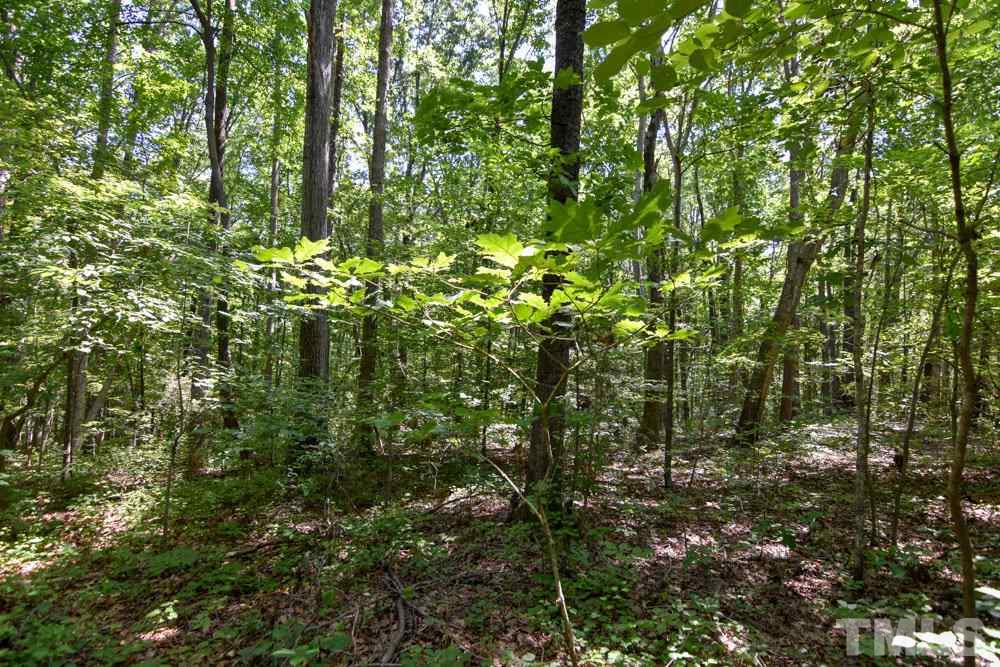 10.6-acres Loftis Loop Roxboro, NC 27574 - Photo 5 of 5
